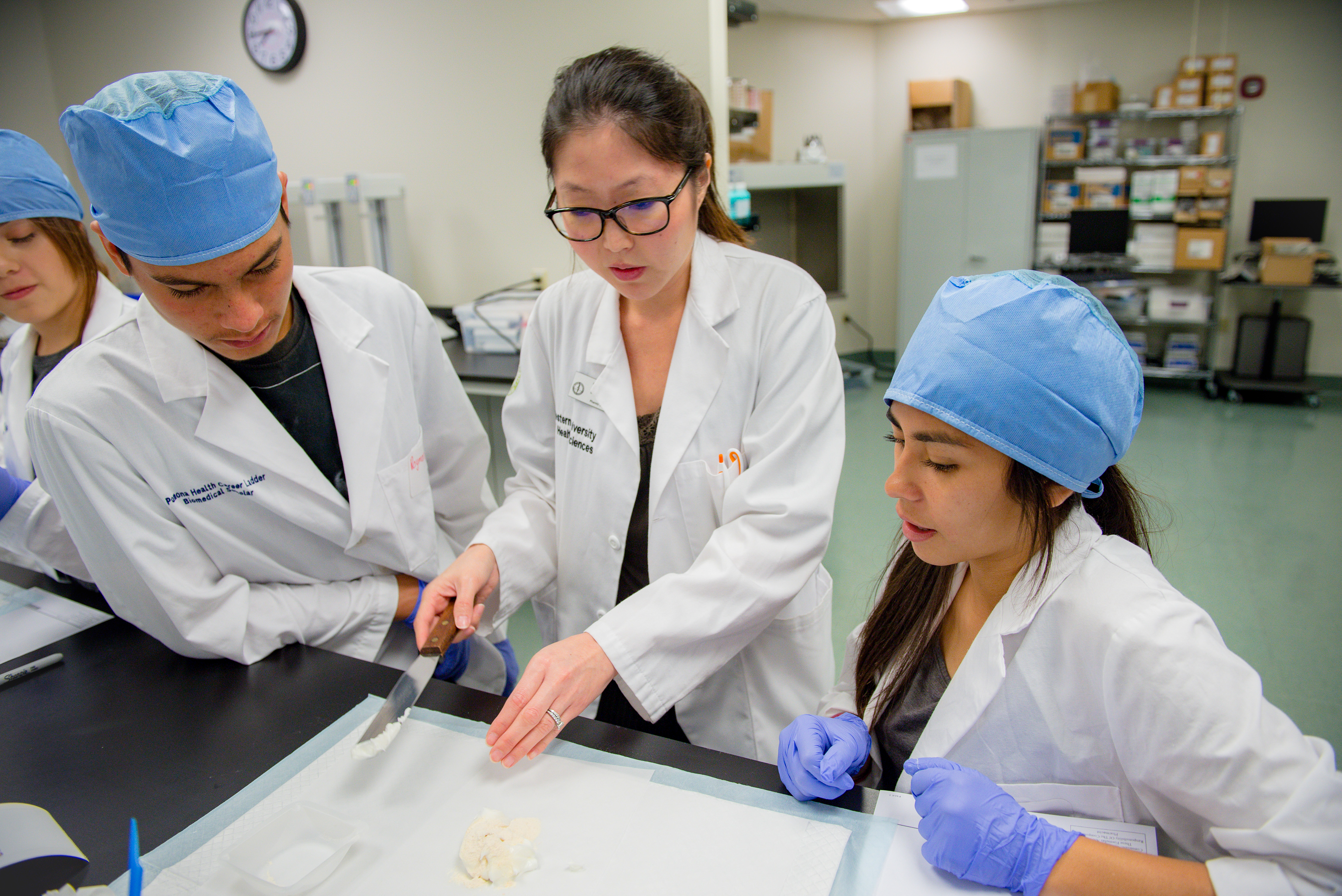 Preparing Students for AI-Integrated Careers with Edtech and Work-Based Learning