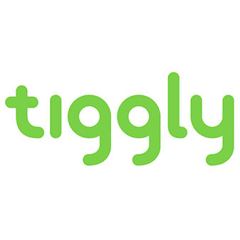 tiggly math blocks