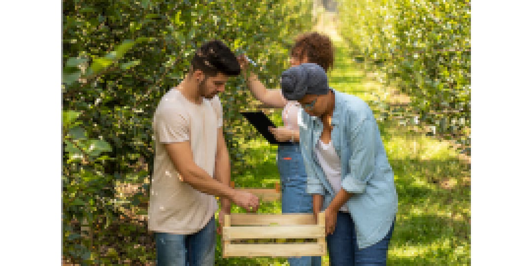 students farming