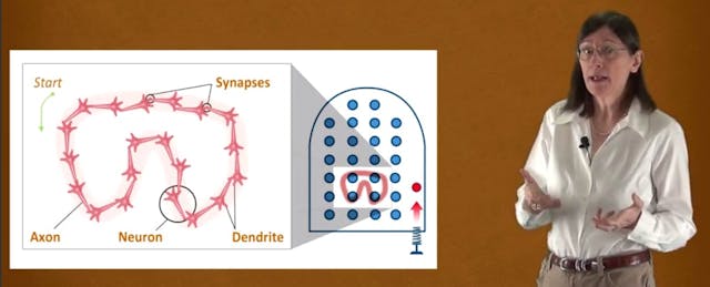 What if MOOCs Revolutionize Education After All?