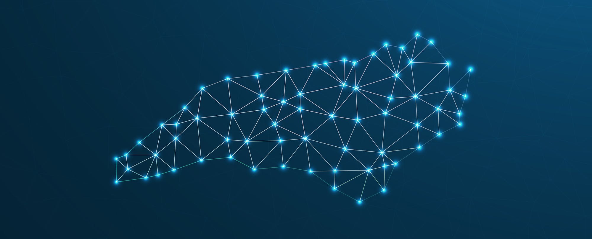 North Carolina’s Digital Success Story