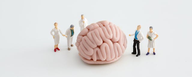 Inside the Incubators: The Anatomy of a University Innovation Team