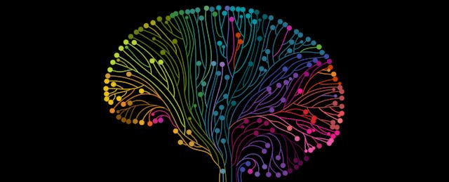 How to Improve Brain Function and Reverse Poverty's Impact on Student Learning