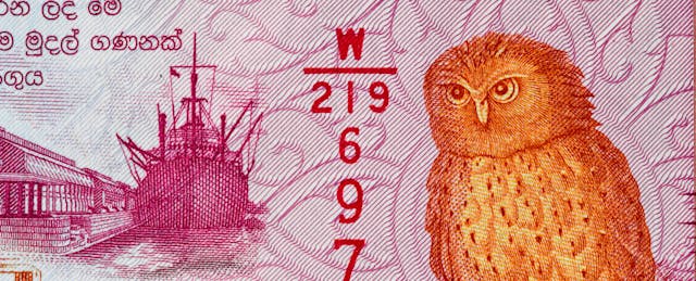 Owl Ventures’ New $185M Edtech Fund Has Global Backers—and Ambitions