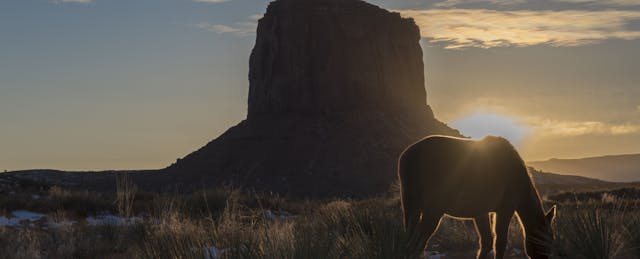 From Robotics to Full-Ride Scholarships, How Navajo Students Beat the Odds