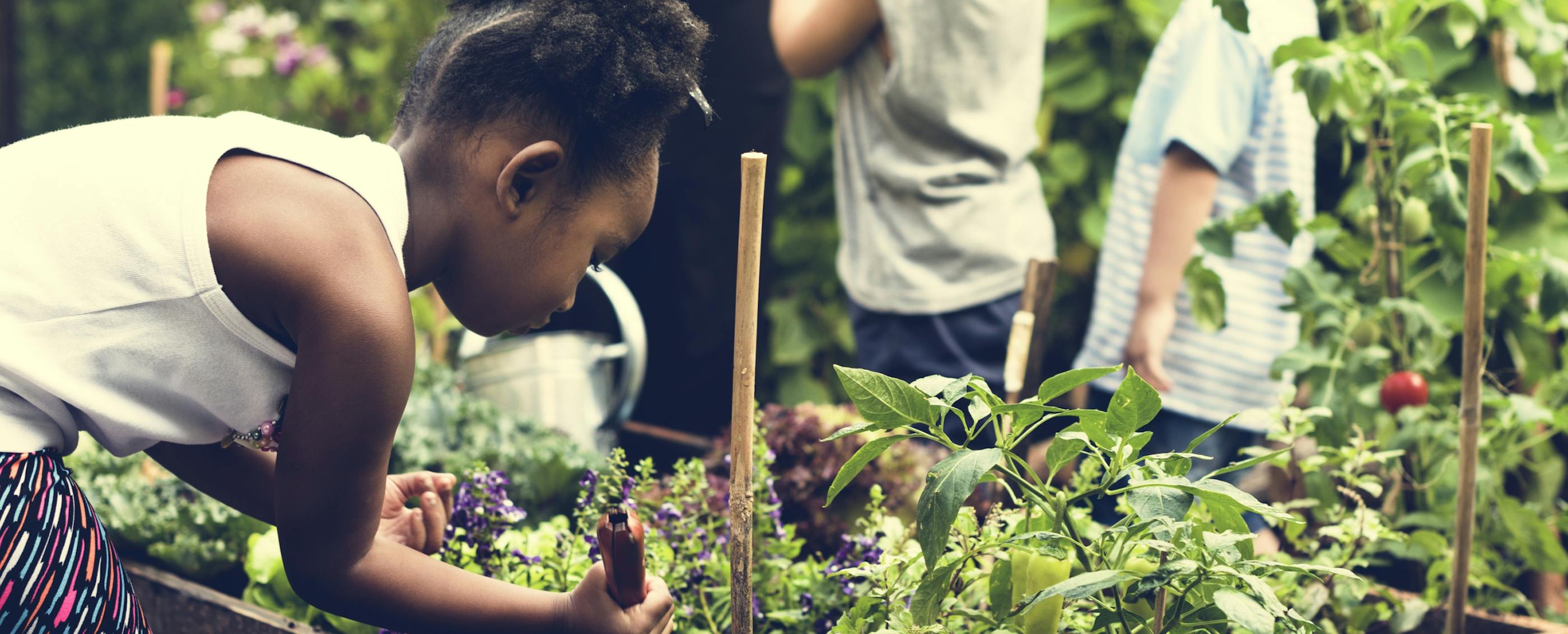 What s The Difference Between Project And Challenge Based Learning what-s-the-difference-between-project-and-challenge-based-learning