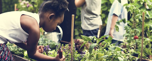 What’s the Difference Between Project- and Challenge-Based Learning, Anyway?