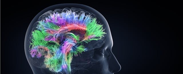 Is Technology Bad for the Teenage Brain? (Yes, No and It’s Complicated.)