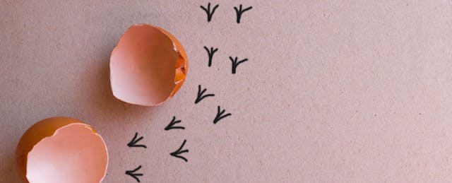 The One Thing Innovative School Leaders Must Do Before School Ends