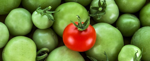 What’s in Your Name? The Importance of Branding for Recruitment in Edtech