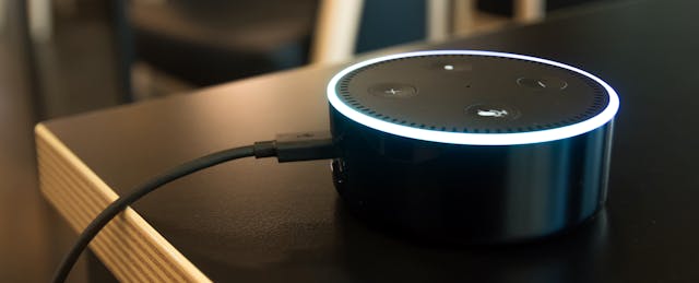 Do Voice Assistant Devices Have a Place in the Classroom?