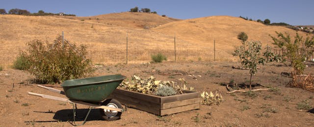 How a Composting Initiative Led to the Growth of an Unexpected Learning Space