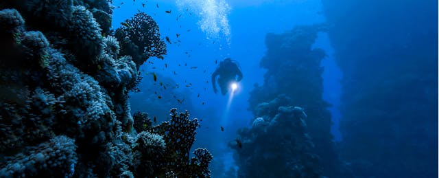 A Test Worth Teaching To? How a College Dropout Plans to Replace the SAT and ACT