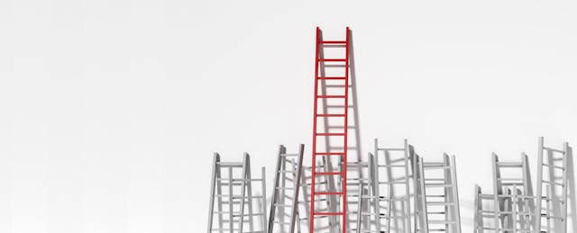 The Rise of Early-Career Enhancers in Education