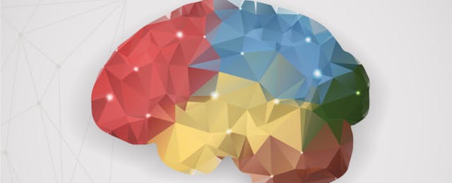I’m a Neuroscientist. Here’s How Teachers Change Kids’ Brains.