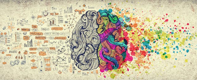 Dear Liberal Arts Major: STEM Companies Need Your Skills to Grow