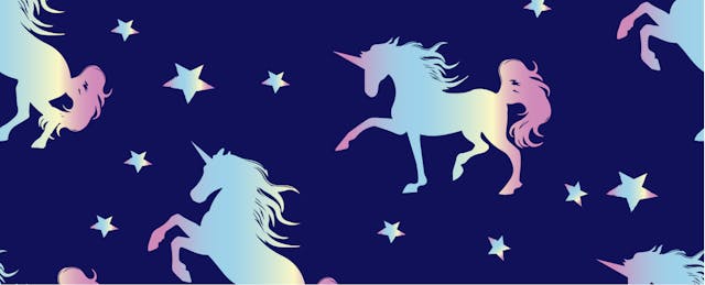 Chief Privacy Officers: The Unicorns of K-12 Education