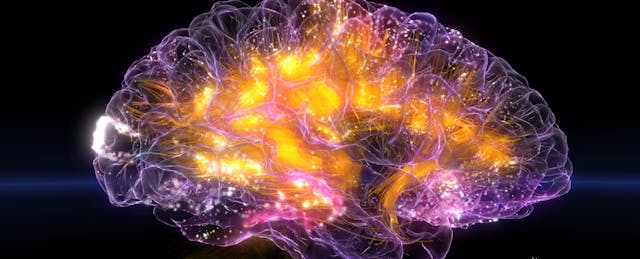 Can a Neuroscience Video Game Treat ADHD?