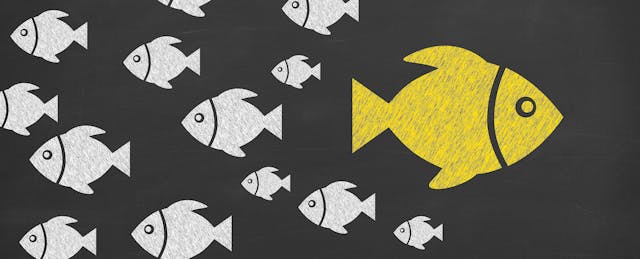 What the College-Admission Scandal Should Teach Parents About Success