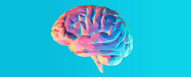 This Neuroscientist Wants to Know Your Brain On Art—and How It Improves Learning