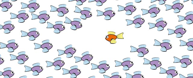 Do Schools Really Kill Creativity? Jonny Sun on What Schools Get Right