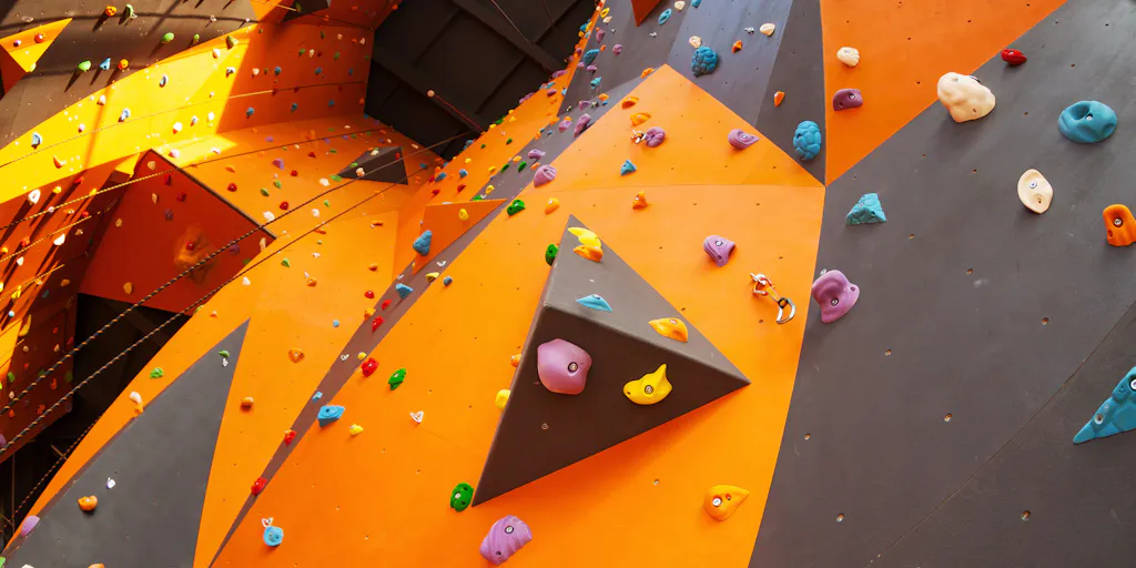 Colleges Should Build Online Programs, Not New Gyms and Climbing Walls