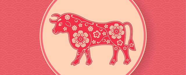 Can the Chinese Tutoring Bull Be Tamed?