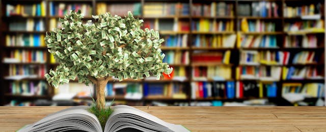 Are K-12 Curriculum Tools a Smart Investment? What Investors and Our Data Say