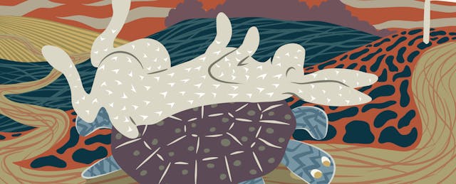 Are We Rushing Education Change? The Case for Slowing Things Down