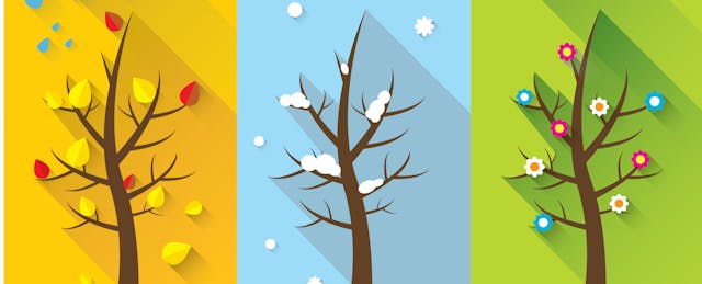 Should State Assessments Be Split Up? Testmaker NWEA Thinks So