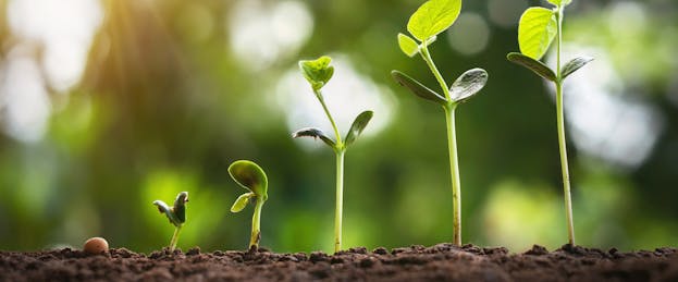 Why These School Districts Serve Children Beginning at Birth