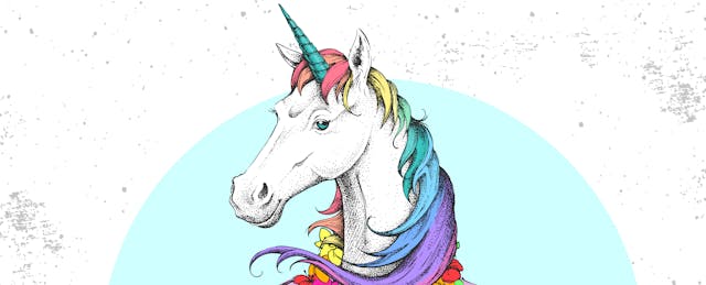 Can You Say Unicorn? Duolingo Raises $30 Million at $1.5 Billion Valuation