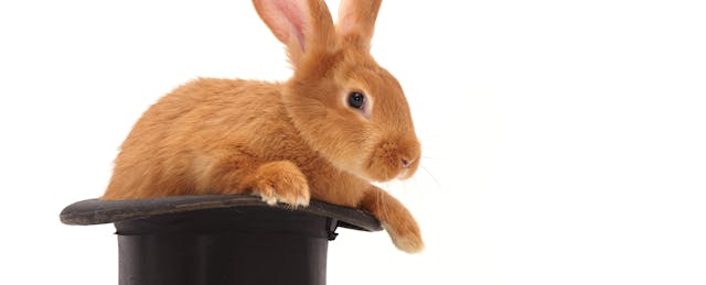 Top Hat Raises $55 Million to Take on Big Textbook Publishers