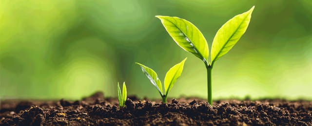 6 Tips for Keeping the ‘Social’ in Social-Emotional Learning