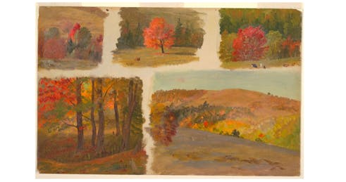 As Pandemic Persists, Colleges Consider Options for the Fall