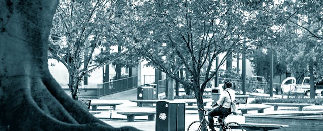 This Cal State Campus Is One of the First to Commit to Online-Only Classes for Fall 2020