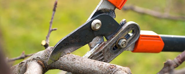 Lambda School Cuts Staff and Salaries Amid ‘Uncertainty in Hiring and Financial Markets’