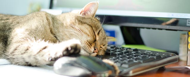 Here’s the Syllabus for Your Summer Crash Course in Online Education