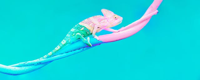 Hybrid Learning Requires Flexibility. Here’s How We’re Adapting Our Model.