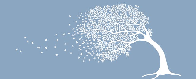 To Weather The Storms of Higher Education, Remember Why You’re There