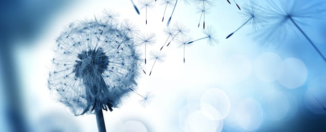 Opening Campuses During Pandemic Sent Virus Cases Soaring in Communities, CDC Reports