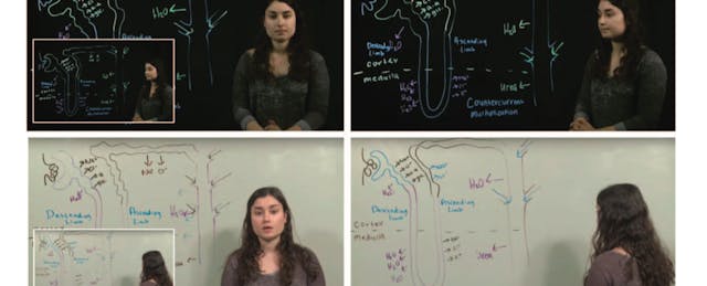 Do Instructional Videos Work Better When the Teacher is On Screen? It Depends.