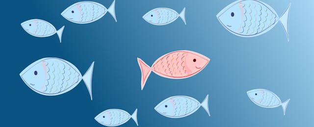 Secretary Cardona Says Back to Normal Is a ‘Low Bar’ in Early Childhood Education