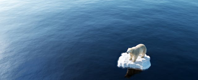 Climate Change Is the Ultimate Teachable Moment