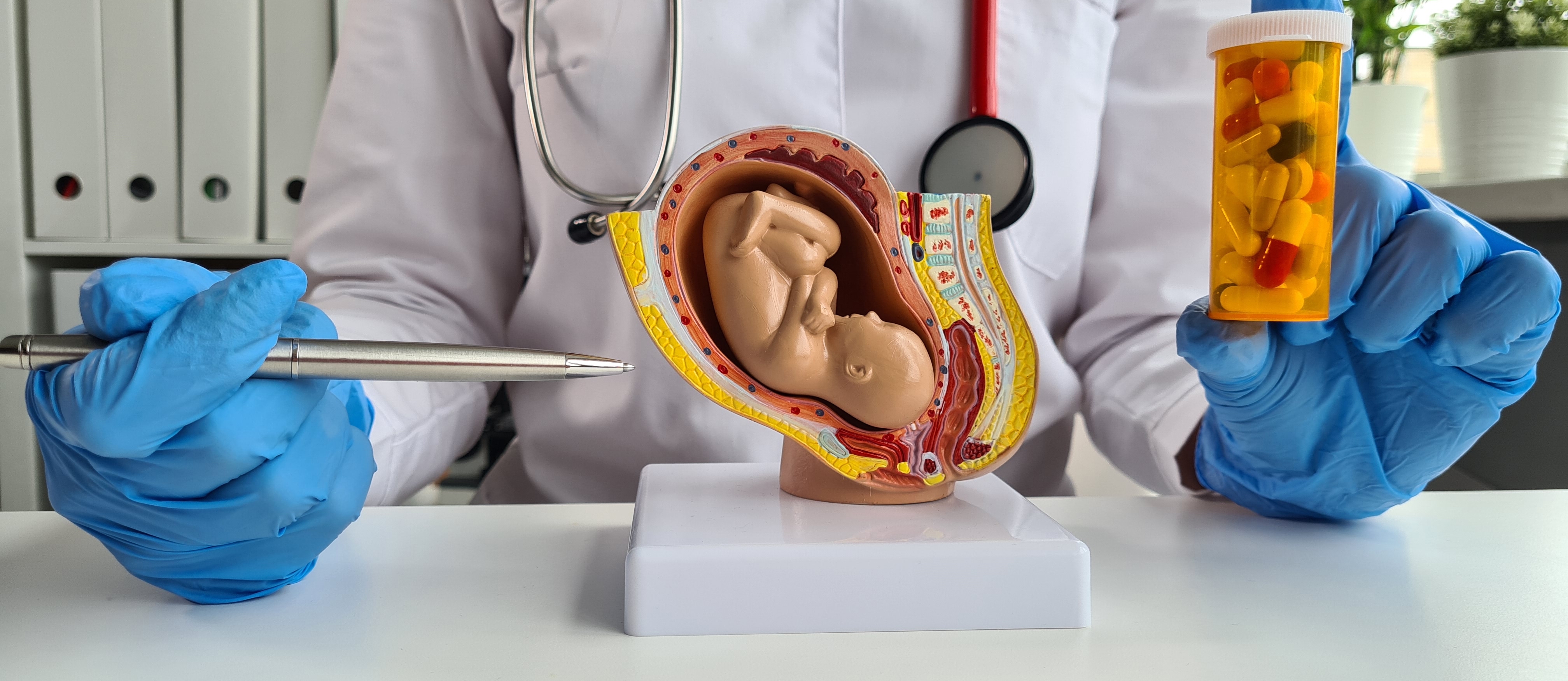 In a Post-Roe World, Students Deserve Access to Fact-Based Science Education