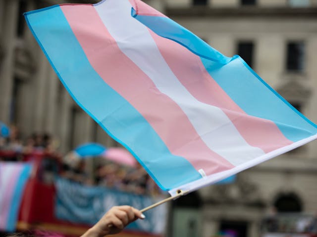 Educators: We Must Be Champions for Our Trans Students