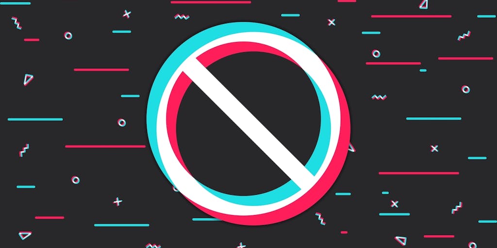 TikTok Bans Limit the Free Flow of Information and Impinge on Academic Freedom