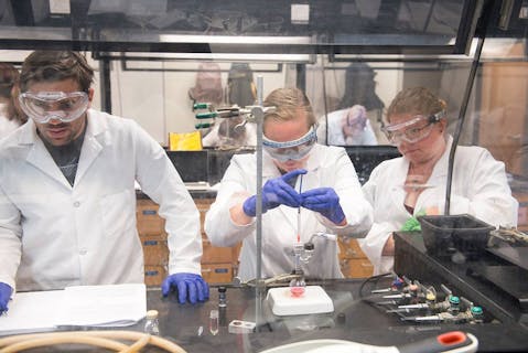 A Surprising Approach to Science Labs for Online Students Boosts Access to STEM Fields