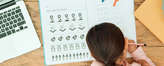 Early Numeracy as a Cornerstone of Long-Term Academic Success