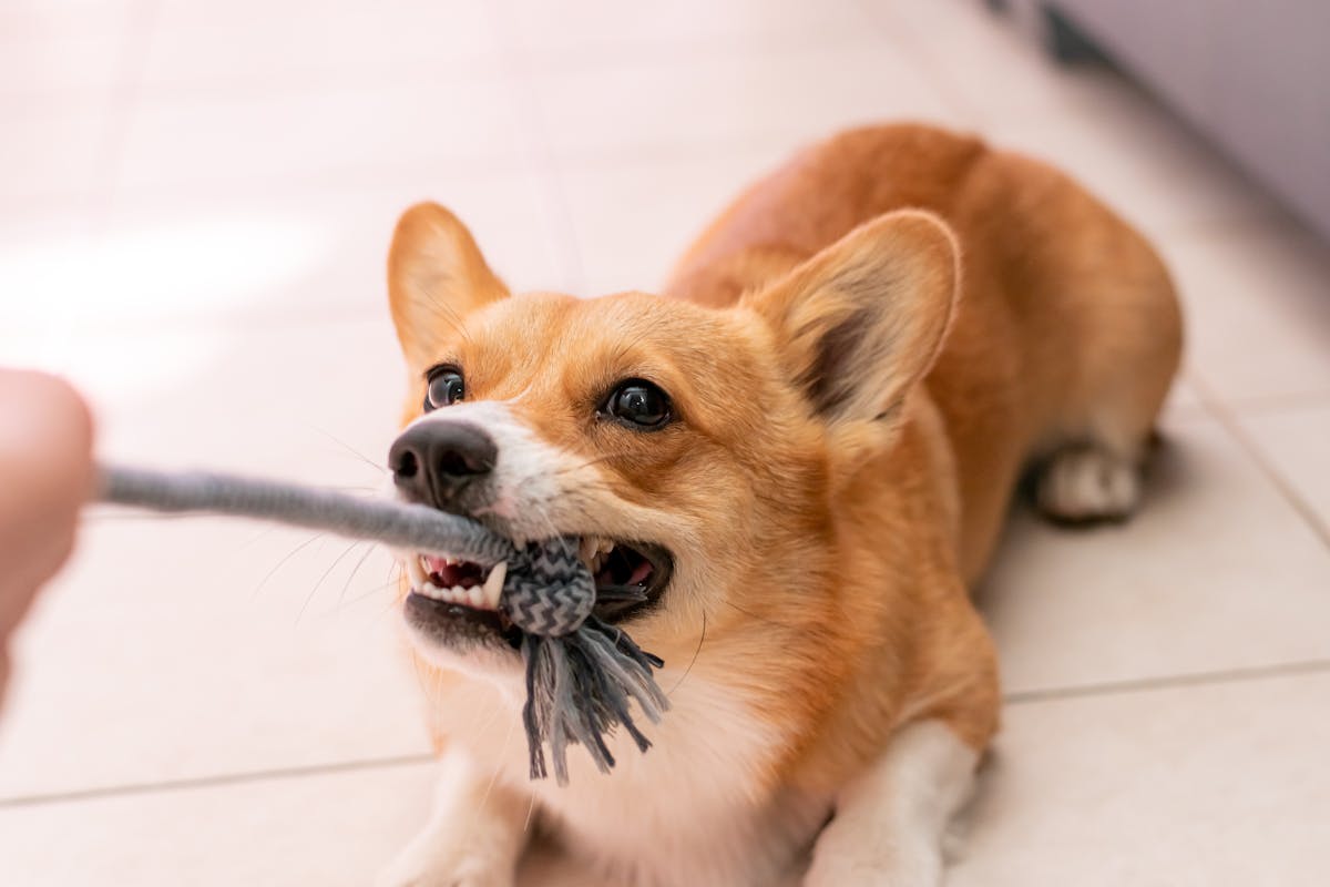 Breaking Up With Edtech Is Hard to Do